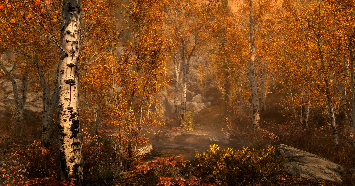 A misty birch forest in full autumn color, with orange leaves and ferns around a small stream in Skyrim