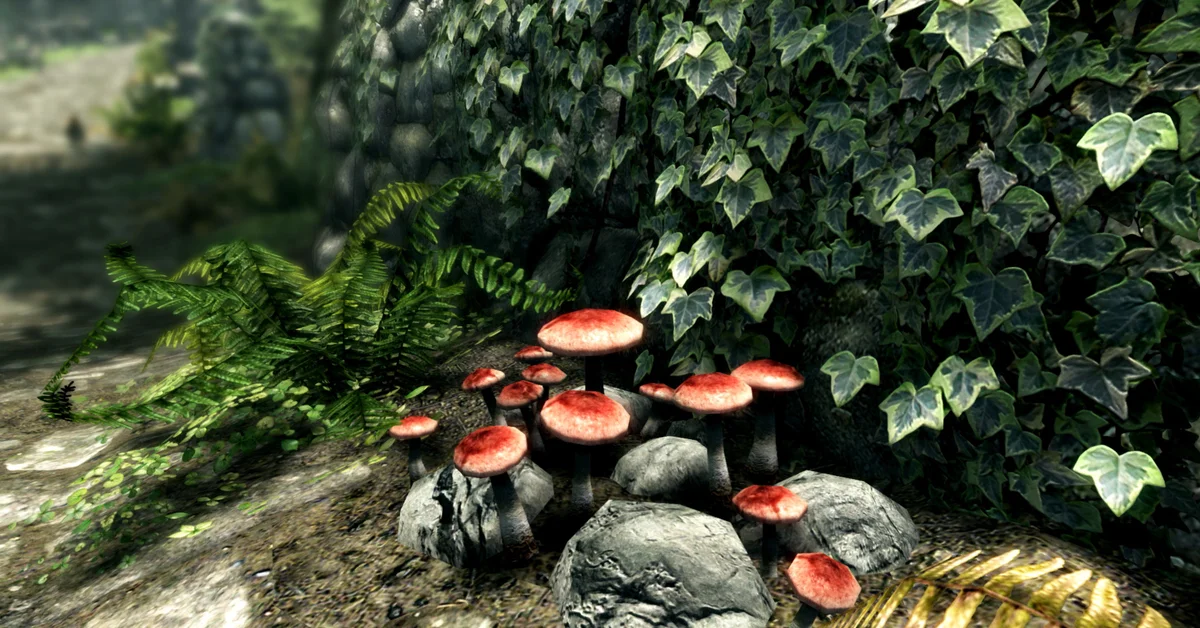 A cluster of red-capped mushrooms growing among grey rocks, ferns and ivy in Skyrim