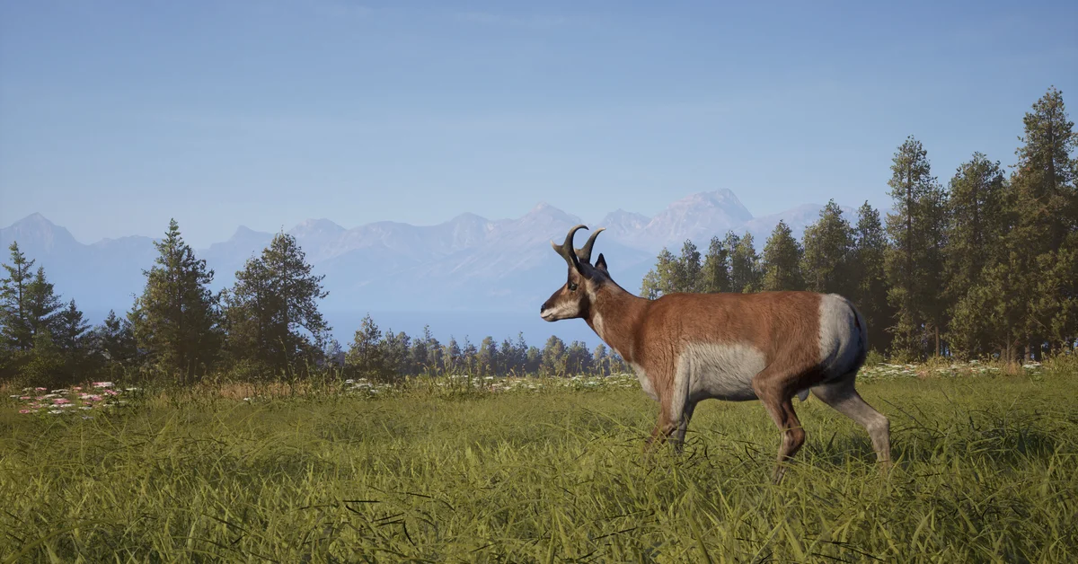 A pronghorn standing in a grassy meadow in Way of the Hunter 2