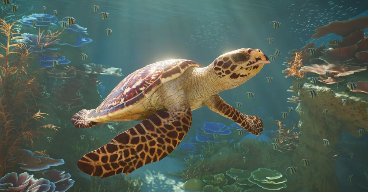 A hawksbill turtle swimming over a coral reef in a Planet Zoo 2 aquarium